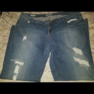 Torrid Bootcut Jeans (26)